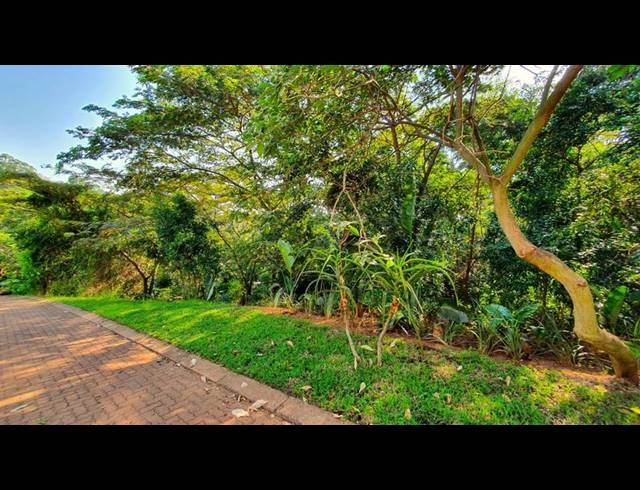 LAND FOR SALE IN ZIMBALI ESTATE
